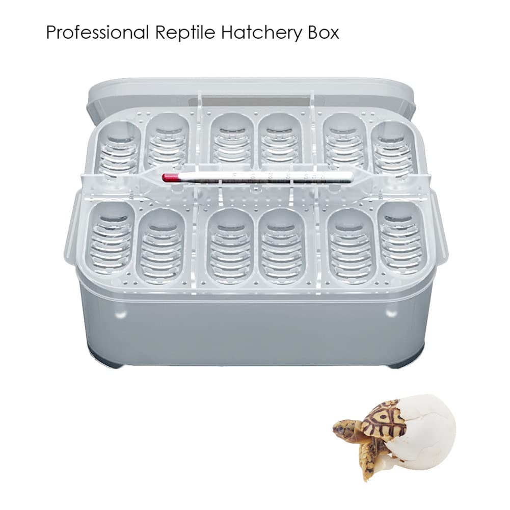 Sakamura Incubateur de Reptiles 12 grilles Professionnel pour Serpents Lézards Éclosion