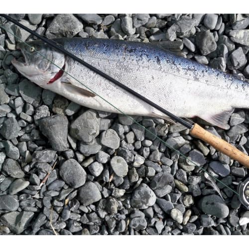Cuerda de pesca de nailon fuerte PRETYZOOM de material altamente resistente 3