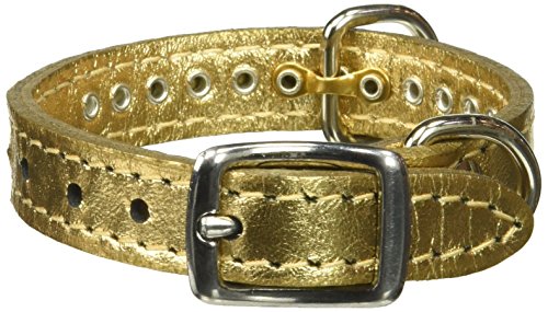 Image of Signature Leather Crystal Dog Collar, Metallic Gold Solid Grain Leather, Fits 6 inch-8 inch Neck Size, 10 inch Overall Length