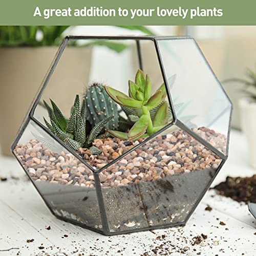 image for GASPRO Pea Gravel for Aquarium, Fish Tank, 5lbs, 1/5 Inch Natural Pebb