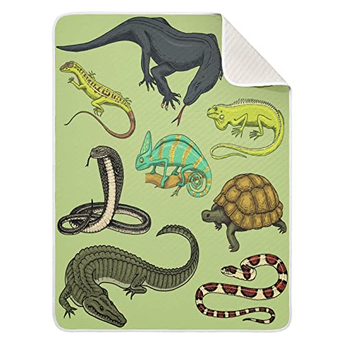 Image of Crocodile Snakes Lizard Baby Blankets Soft Warm Crib Stroller Blanket for Toddler Newborn Girls Boys, 30x40in