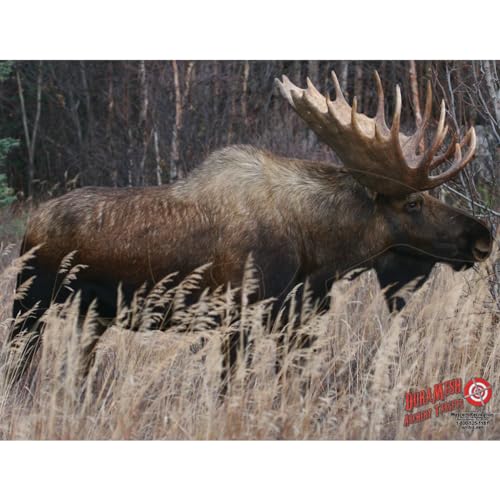 DuraMesh Archery Moose Target, Brown, 25" x 32"