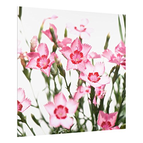 Spritzschutz Glas - Pink Flowers - Quadrat 1:1 59cm x 60cm