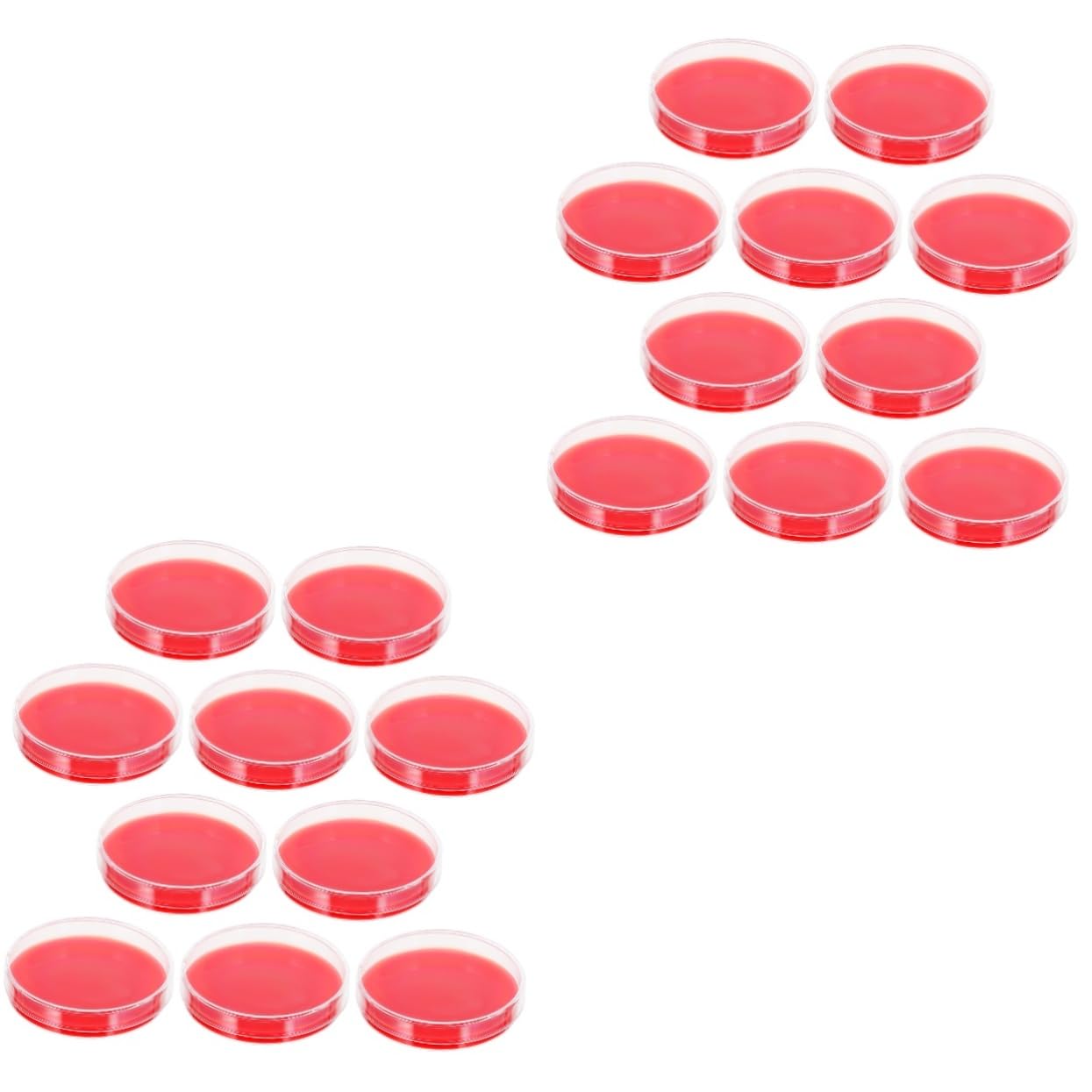 20pcs Agar Culture Medium Petri Plates Agar Plates for Labs for Microbiology Experiments and