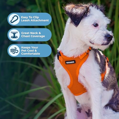 Image of Voyager Step-in Pet Harness - All Weather Mesh, Adjustable Step in Harness for Cats and Dogs by Best Pet Supplies - Orange, XL