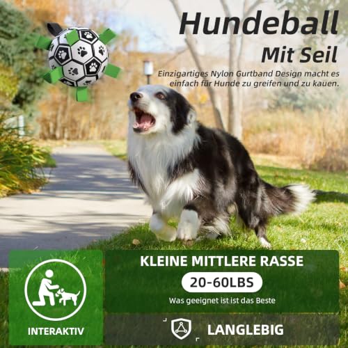 HETOO Hundeball Hundespielzeug Ball mit Seil Hundefußball (M Grün)