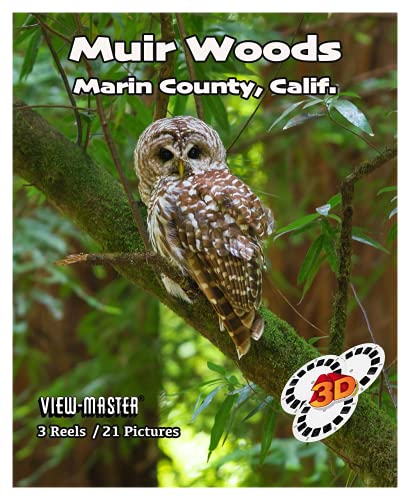 P.O.V. - Point of View