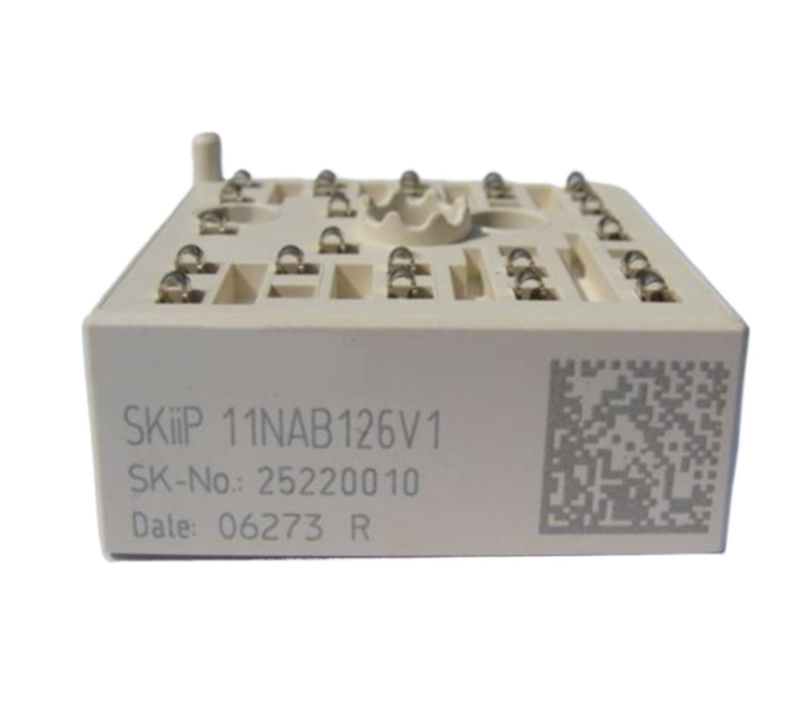 SWEWDSQG SKIIP14NAB065V1 SKIIP13NAB065V1 SKIIP11NAB065V1 SKIIP12NAB065V1 module(SKIIP11NAB065V1)