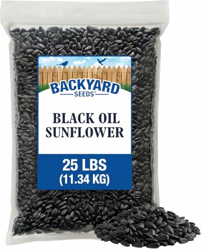 Backyard Seeds Black Oil Sunflower Seeds for Wild Birds 25lbs - Thin Shells, Premium Cardinal Food, Medium Bag of Black Oil Sunflower Seeds