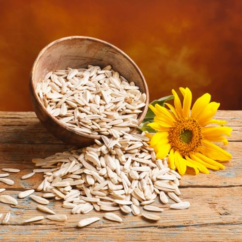Image of BOKF Pumpkin Seeds & Sunflower Seeds Combo Pack 500g | Raw Superfoods | Rich in Protein, Fiber & Healthy Fats | Healthy Snacking & Weight Management Seeds