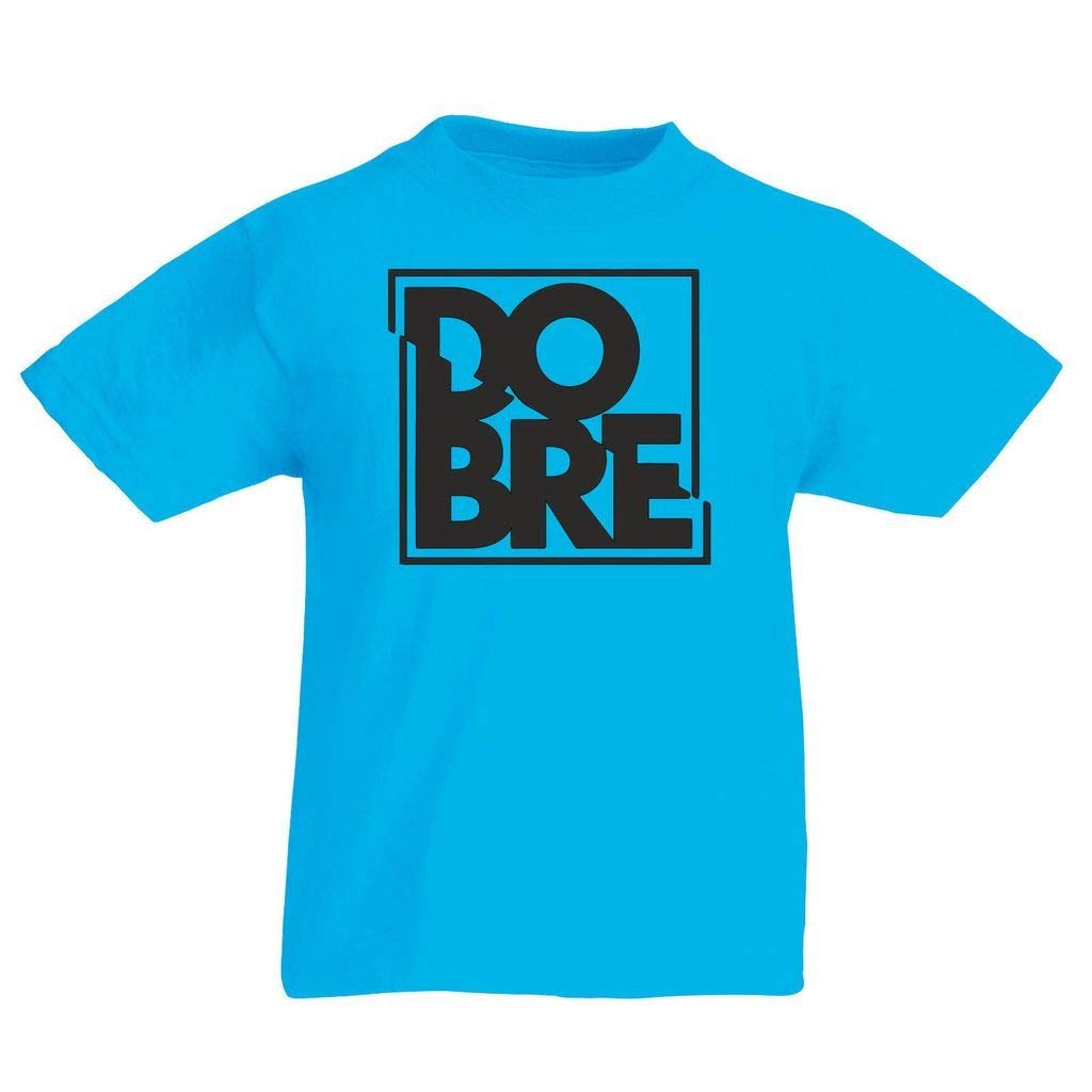 DCG PRINTWEAR Boys Girls Kids Childs Dobre Brothers T Shirt YouTube Youtuber Jumper Jumping Top 9-11 Years Azure Blue