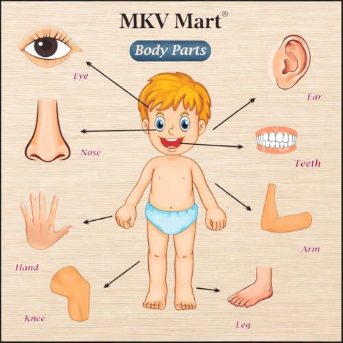 Image of Body Part Puzzle Kids Wooden Toys for Kids 3 + Jigsaw Puzzles for Adults Baby Learning Toys Educational Toys Game for Learning Human Body Parts Anatomy Skeleton - Gift Toys for Boy and Girl