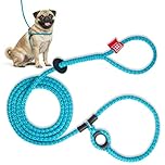 Harness Lead No Pull Dog Harness and Leash Set, Anti Pull Dog Harness for All Breeds and Sizes, One-Piece Cushioned Rope Design Safely Prevents Escaping and Pulling (Small/Medium, Blue/Multi)