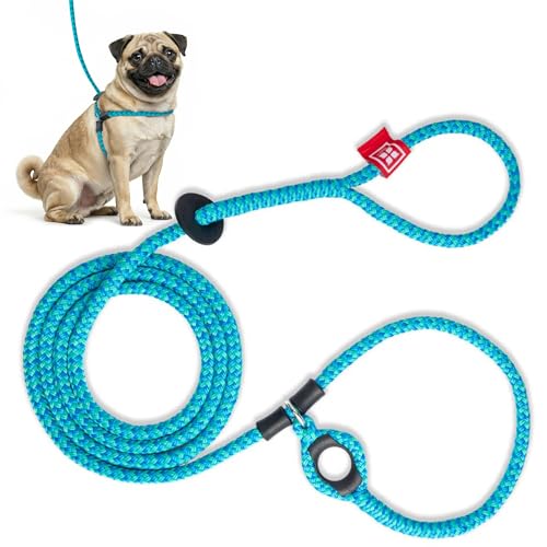 Harness Lead No-Pull Dog Harness & Leash Set (Rope, Small/Medium, Blue/Multi)