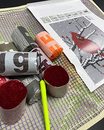 Image of PakyKai Latch Hook Rug Kit for Adults Red Cardinal Crocheting Carpet Rug Yarn Sofa Cushion Mat Tapestry DIY Carpet Arts Crafts,20.5X15 Inch