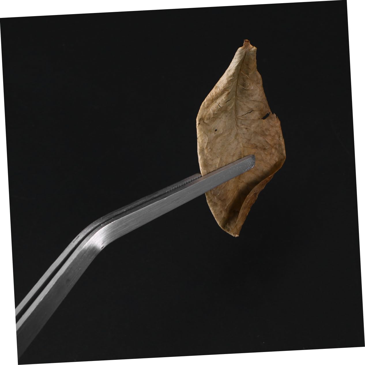 IWOWHERO 38cm Stainless Steel Straight Curved Tweezers Set Aquarium Plant Tweezers for Low-growing Carpet Plants