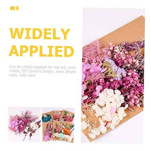 Flores secas prensadas para manualidades 1 bolsa miniatura 4