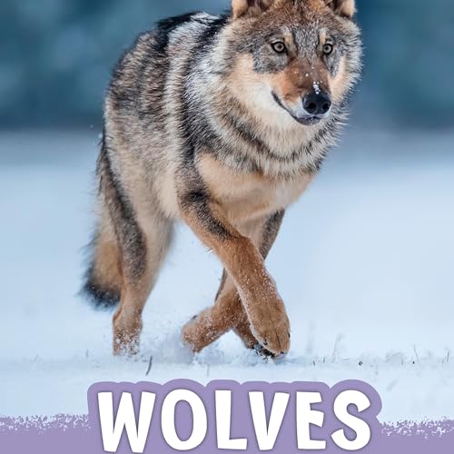 Wolves by Mari Schuh episode artwork