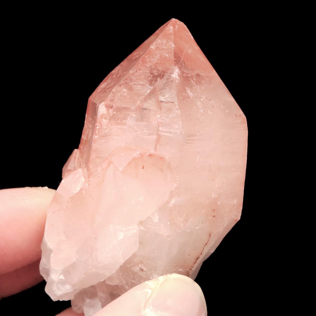 Amazon.co.jp: ドリームシクル レムリアンシード 水晶 ポイント