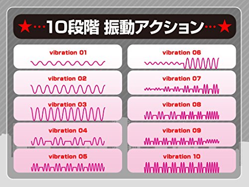 JAPANTOYZ ~Love&Leaf~ nemo W ネオ充電式リモコンツインローター ブラック - 画像2