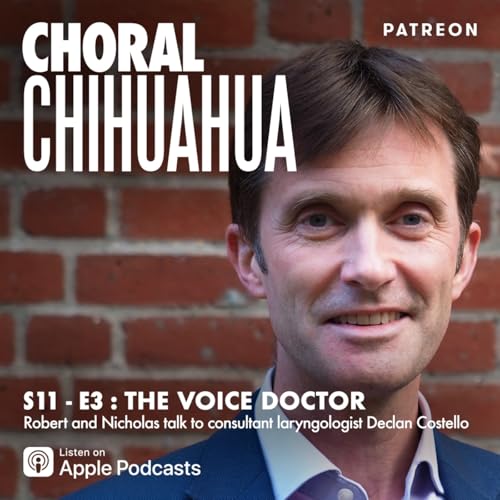 The Voice Doctor cover art