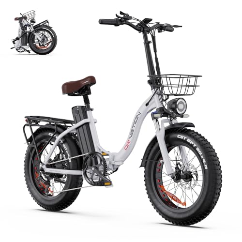 Drvetion E-Bike klapprad tieferm einstieg Unisex 20 Fat Tires 48V 20AH/15AH herausnehmbarer Akku Höchstgeschwindigkeit 25 km/h Reichweite 130 km (Weiß 48V/15AH)