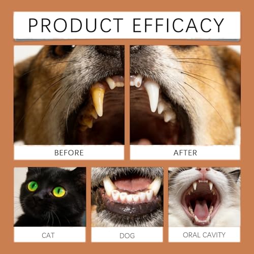 Dog Toothbrush with Toothpaste Dental Care Set for Dogs & Cats,Finger Brush & Soft Bristle Toothbrush,Dog Toothbrush and Toothpaste Set,Finger Toothbrush & Pet Dental Care Kit for Oral Hygiene - Image 3