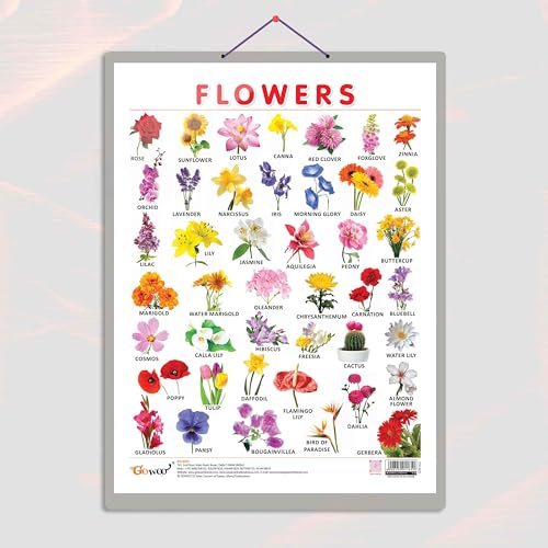 Image of GO WOO FLOWERS CHART HARD LAMINATED | Botanical Beauty: Sturdy Laminated Flowers Wall Display