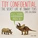 Toy Confidential: The Secret Life of Snarky Toys 2015 Wall Calendar