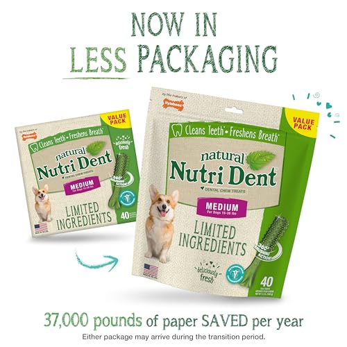 Image of Nylabone Nutri Dent Dog Dental Treats - Natural Dog Teeth Cleaning & Breath Freshener - Dental Treats for Dogs - Fresh Breath Flavor, Medium (40 Count)