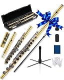 AKLOT Closed-Hole Concert C Flute