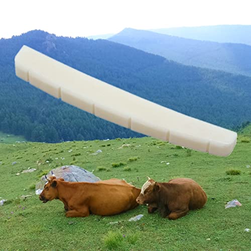 Miwayer 6 String Electric Guitar Bone Nut Curved Bottom Pre-Slotted Made Of Real Bone (43 X 3.2 X 5/5.65/4.6Mm 1 Pack) #TOP4