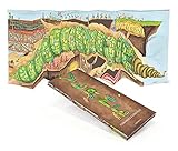 Kalandraka