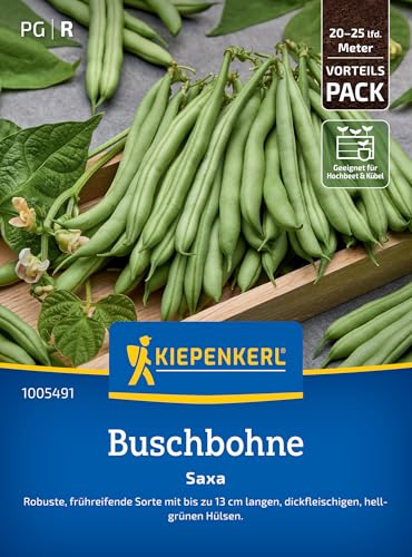 Kiepenkerl Buschbohnensamen Saxa 1005491 Gemüsesamen für Bohnen mit bis zu 13 cm langen Hülsen und Inhalt für 20 bis 25 lfd. Meter - Saatgut Gemüse Pflanzen