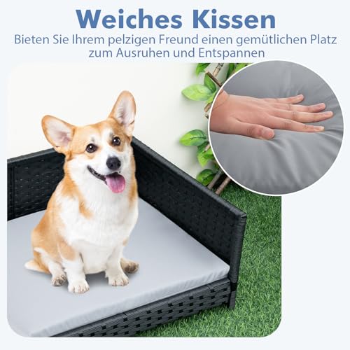 COSTWAY Hundebett aus PE-Rattan, Haustierbett mit abnehmbarem Kissen & waschbarem Bezug, Metallrahmen, erhöhtes Hundesofa für kleine/mittelgroße Hunde, Hundecouch für drinnen draußen, 62x46x25cm