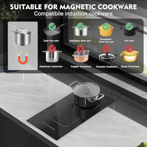 Double Induction Cooktop Portable
