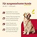 animonda GranCarno Hunde Nassfutter Sensitiv Reines Rind + Kartoffeln (6 x 400g), getreidefreies Hundenassfutter ohne Zucker, für ausgewachsene Hunde, mit frischen fleischigen Zutaten
