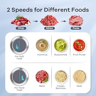 GANIZA Food Processors, Electric Food Chopper with Meat Grinder & Vegetable Chopper - 2 Bowls (8 Cup+8 Cup) with Powerful 450W Copper Motor - Includes 2 Sets of Bi-Level Blades (Grey)