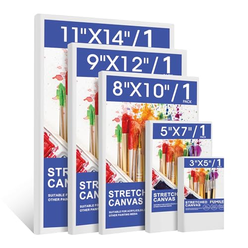 fumile stretched canvas, canvases for painting multi 5 pack 3x5,5x7,8x10,9x12,11x14(1 of each), cotton primed acid free blank canvases for painting for oil paint, acrylic paint, gouache and tempera. multi5 3x5,5x7,8x10,9x12,11x14(1of