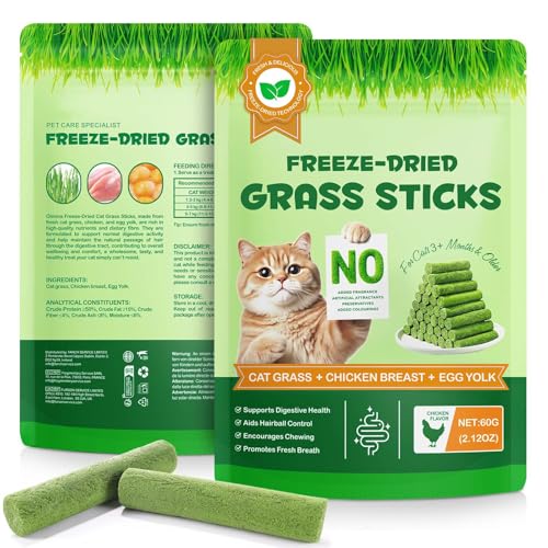 Cat Grass Sticks Cat Grass for Indoor Cats