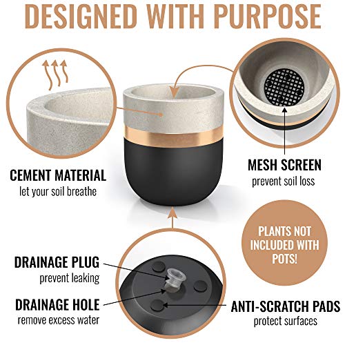 3 inch Small Succulent Pots with Drainage - Set of 3 Concrete Planter Pots for Succulent Plants - Cement Planter Cactus Pots - Use as Succulent Planter, Cactus Pot, Mini Succulent Pots, Cactus Planter