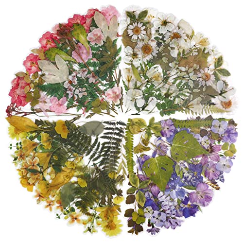 Molshine ST-430-4 160Pcs Pet Transparent Decorative Stickers cover