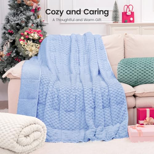 Image of Fleece Sherpa Weighted Blanket for Adults, Ultra Soft Fuzzy, 60 inchx80 inch 15lbs