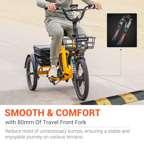 ADDMOTOR CITYTRI E-310 Electric Trike Reviews