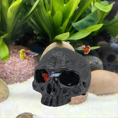 Image of Aquarium Terrarium Skull Decor, Reptile Hide House Shelter Cave for Geckos Spider Lizard Snake, Fish Tank Hide Cave House Hideouts Stones for Small Fish Shrimp Betta Crab Guppy Cichlids (Black)