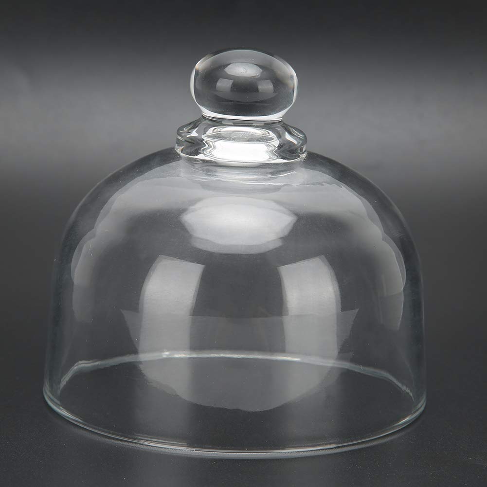 Glass Dust Cover Transparent Ornaments Decoration Collection Handle Carry for Gifts Home Craft