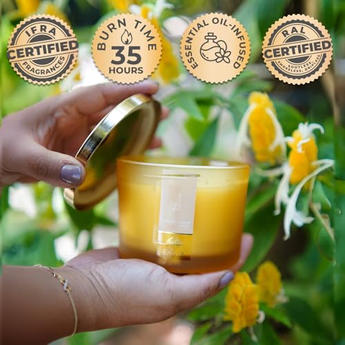 Image of EKAM 3 Wick Soy Wax Scented Candle | Vanilla Fragrance | 35 Hr Burn | Long Lasting Premium Jar Candle for Home Decor, Relaxation & Gifting