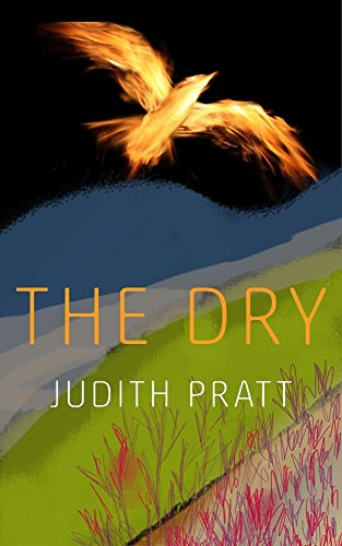 Cover of The Dry Country