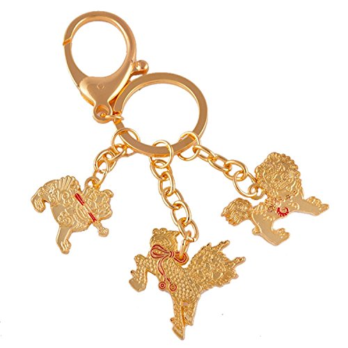 fengshuisale Feng Shui Three Celestial Guardians W Sword, Lasso,Hook Key Ring Keychain +Free Red String Bracelet W1131