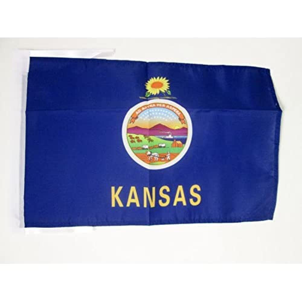 Iran Old Persia Flag 18'' x 12'' cords - Persian SMALL flags 30 x 45cm - Banner 18x12 in - AZ FLAG — view 1045